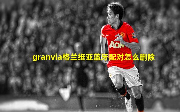granvia格兰维亚蓝牙配对怎么删除