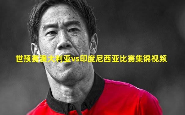世预赛澳大利亚vs印度尼西亚比赛集锦视频