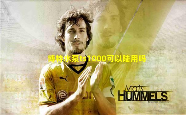 博特水泵ts1000可以陆用吗
