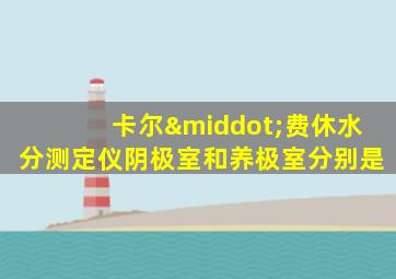 卡尔·费休水分测定仪阴极室和养极室分别是