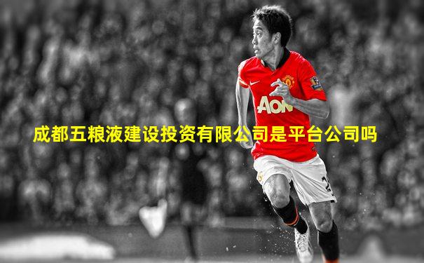 成都五粮液建设投资有限公司是平台公司吗