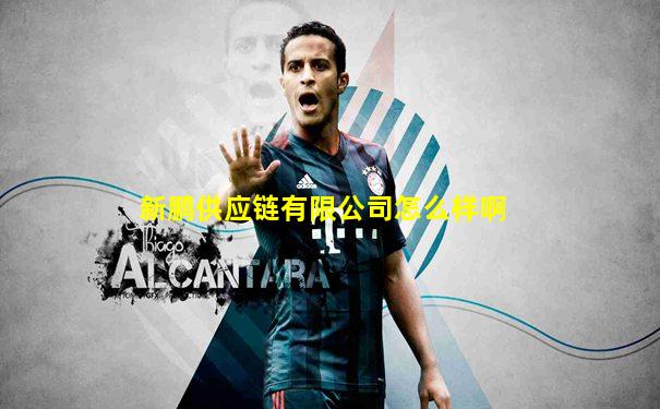 新鹏供应链有限公司怎么样啊