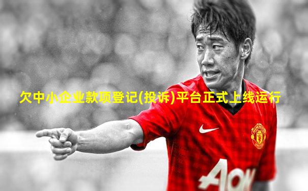 欠中小企业款项登记(投诉)平台正式上线运行