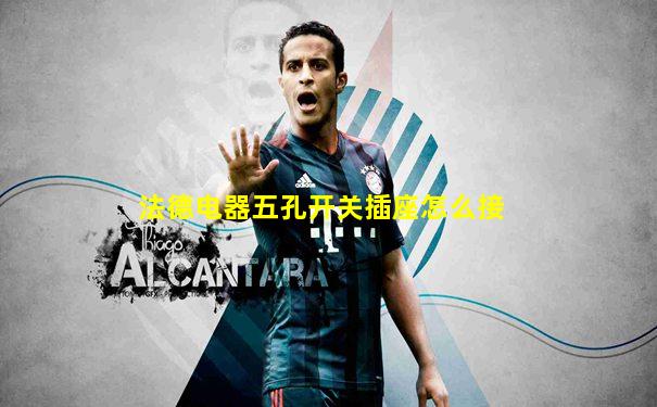 法德电器五孔开关插座怎么接
