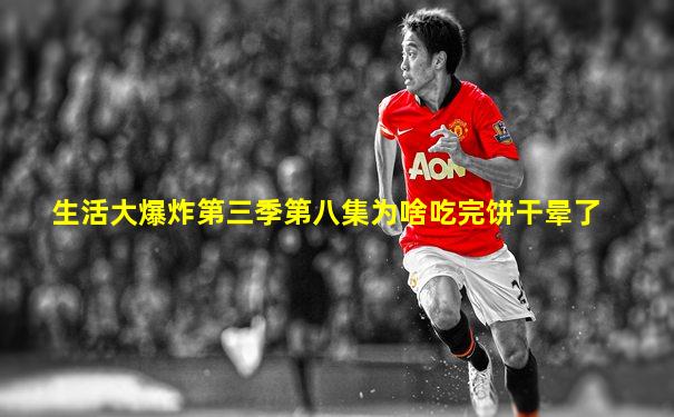 生活大爆炸第三季第八集为啥吃完饼干晕了