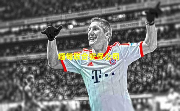 缅甸联合安保公司