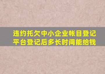 违约托欠中小企业帐目登记平台登记后多长时间能给钱
