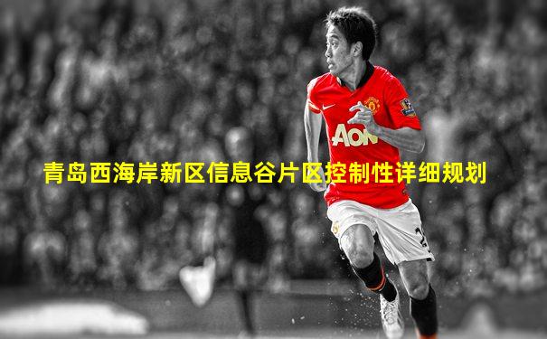 青岛西海岸新区信息谷片区控制性详细规划