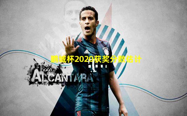 鹏城杯2020获奖分数估计