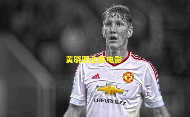 黄晓明全部电影
