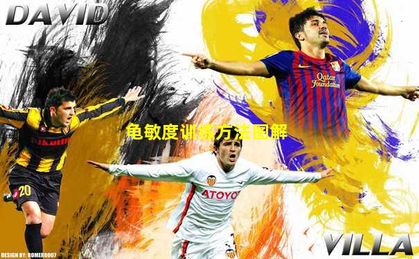 龟敏度训练方法图解
