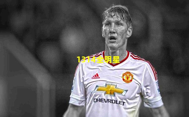 1314全明星