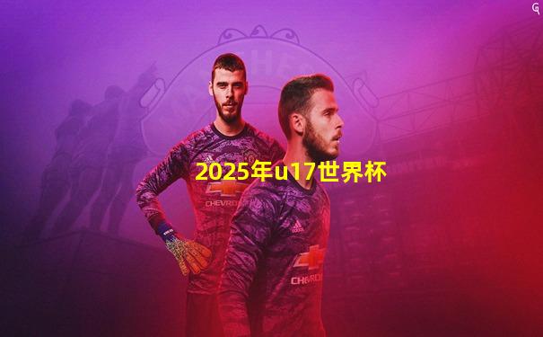 2025年u17世界杯