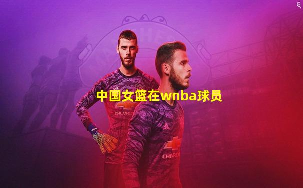 中国女篮在wnba球员