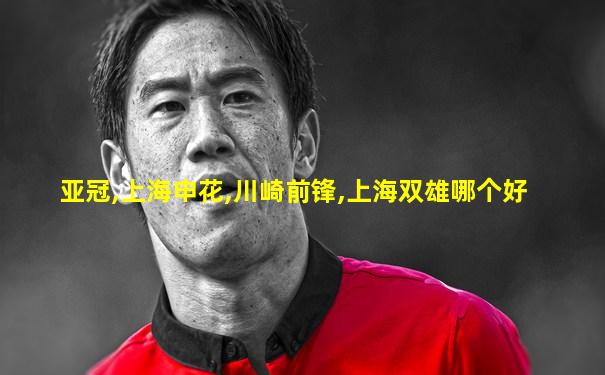 亚冠,上海申花,川崎前锋,上海双雄哪个好