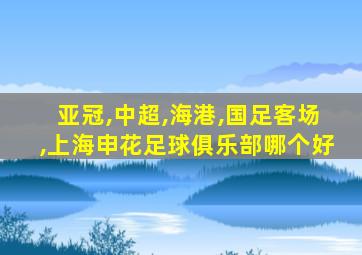 亚冠,中超,海港,国足客场,上海申花足球俱乐部哪个好