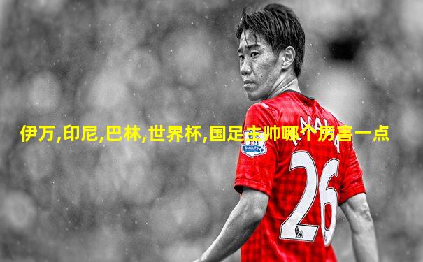 伊万,印尼,巴林,世界杯,国足主帅哪个厉害一点
