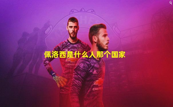 佩洛西是什么人那个国家
