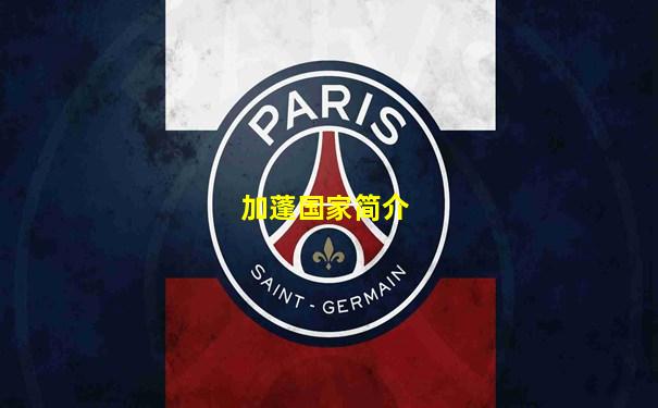加蓬国家简介