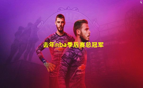 去年nba季后赛总冠军