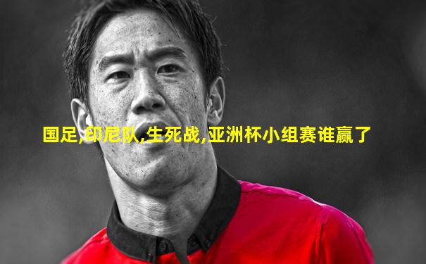 国足,印尼队,生死战,亚洲杯小组赛谁赢了