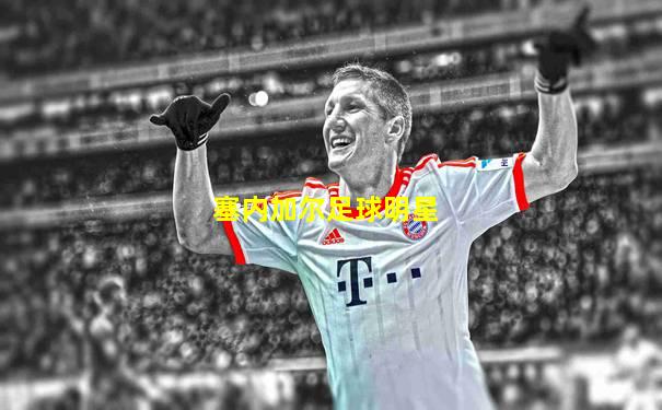 塞内加尔足球明星