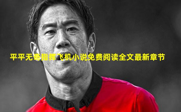 平平无奇指挥飞机小说免费阅读全文最新章节