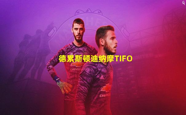 德累斯顿迪纳摩TIFO