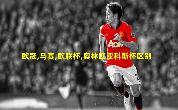欧冠,马赛,欧联杯,奥林匹亚科斯杯区别