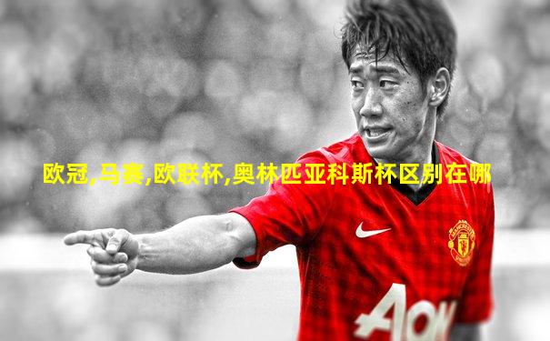 欧冠,马赛,欧联杯,奥林匹亚科斯杯区别在哪