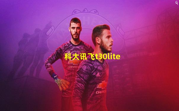 科大讯飞t30lite