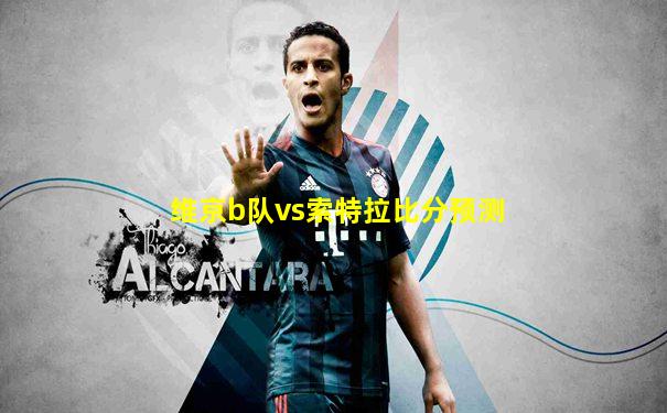 维京b队vs索特拉比分预测