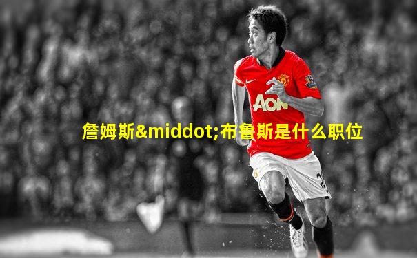 詹姆斯·布鲁斯是什么职位